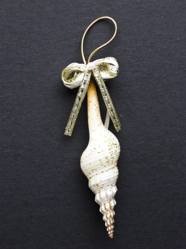 Fusinus Shell Christmas Ornament