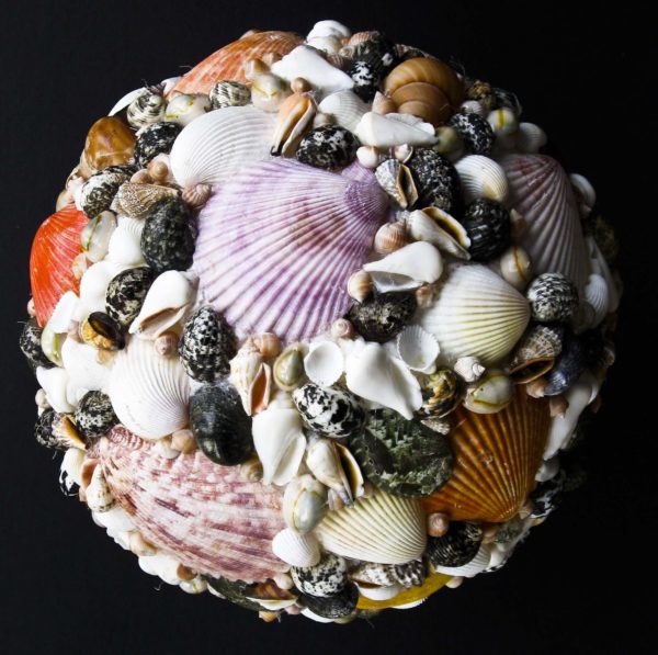 Mixed Shell Ball