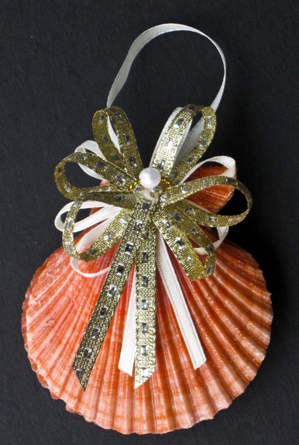 Pecten Shell Christmas Ornament