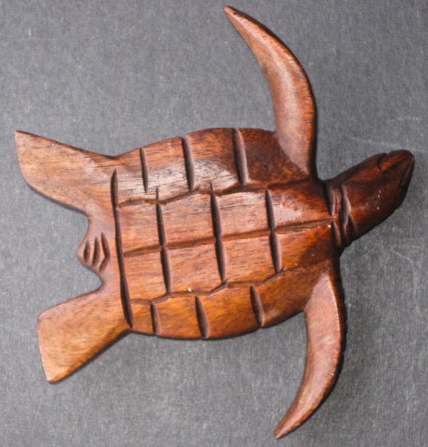 Turtle Sculpture / Turtle Carving